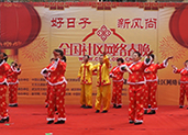 《盛开的马兰花》