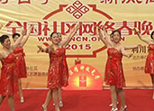 《宪法精神放光芒》