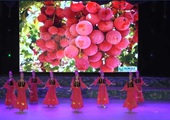 舞蹈《新疆姑娘甜又美》